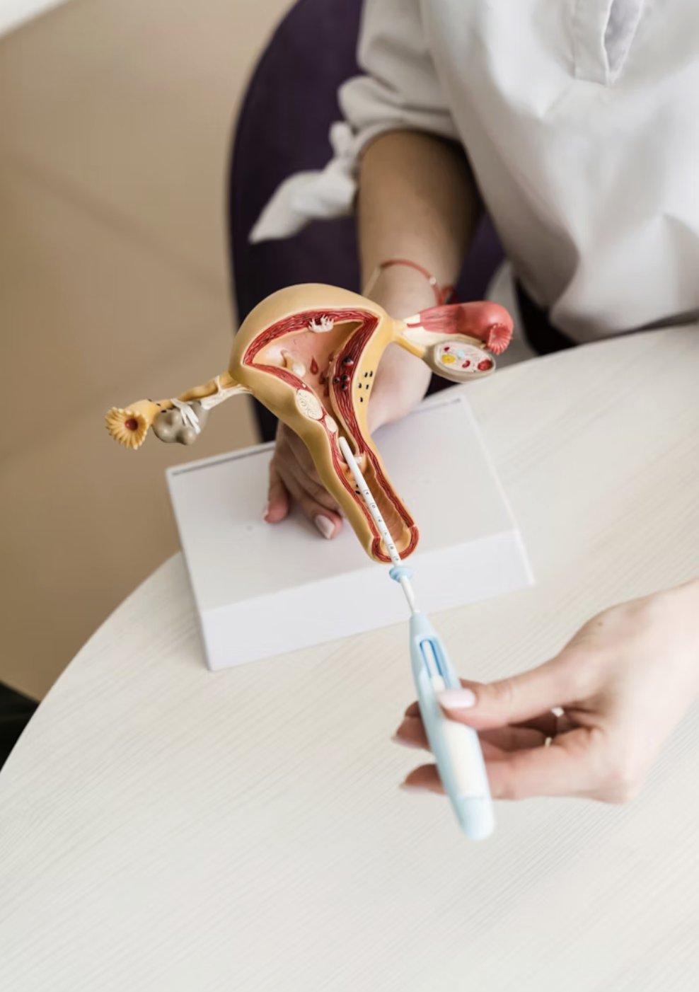 Ginecología y Obstetricia